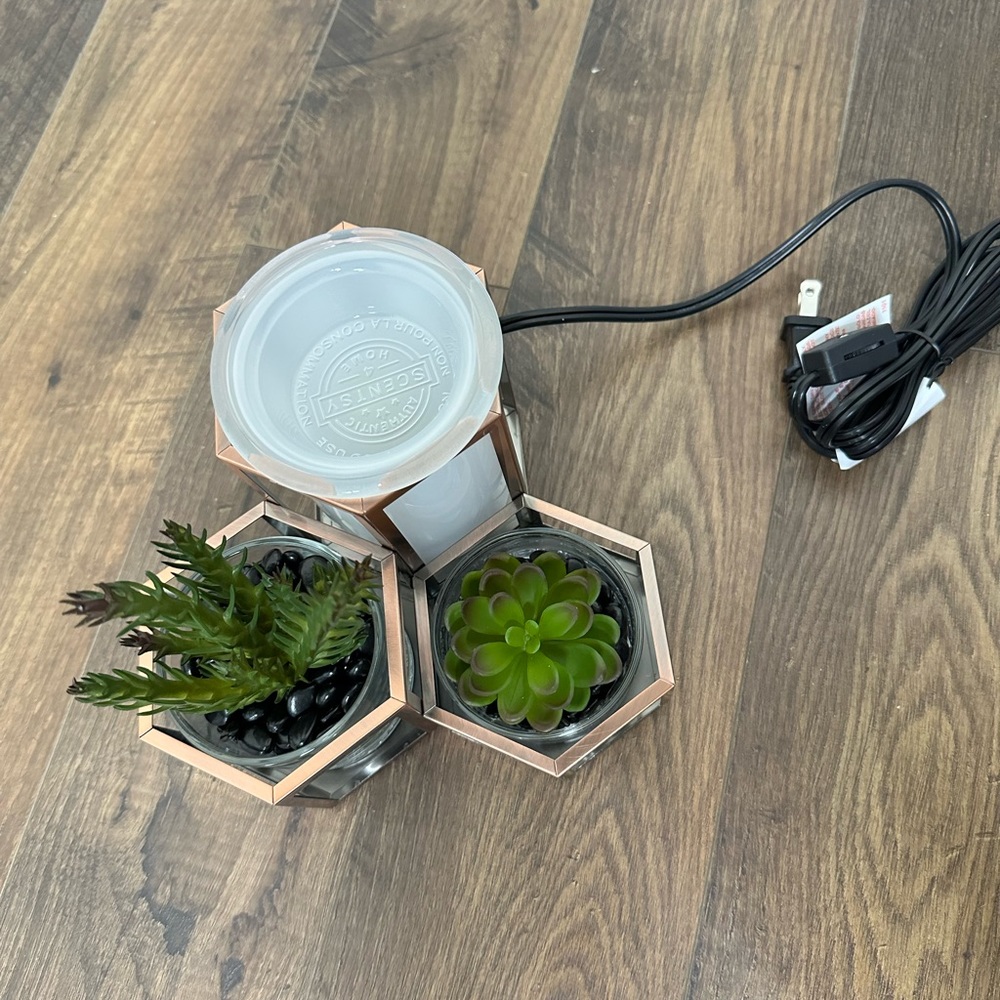 Wild Desert Scentsy Warmer - Picture 7 of 7